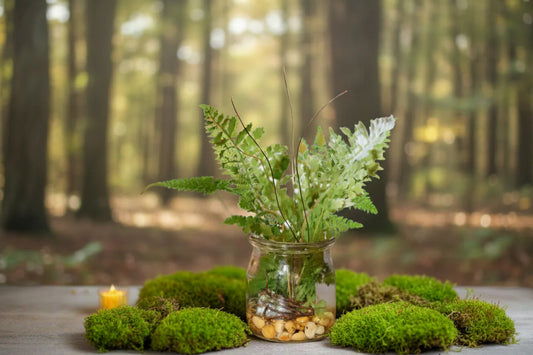 Maidenhair Fern Small Jar